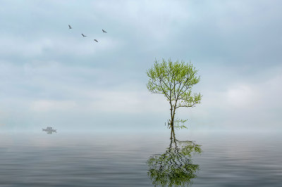 中央財經(jīng)大學(xué)在職研究生入學(xué)流程