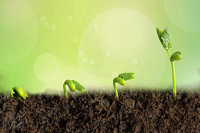 中央財經(jīng)大學在職研究生真的在河南地區(qū)有招生嗎？