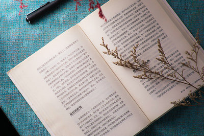 中央財經大學在職研究生