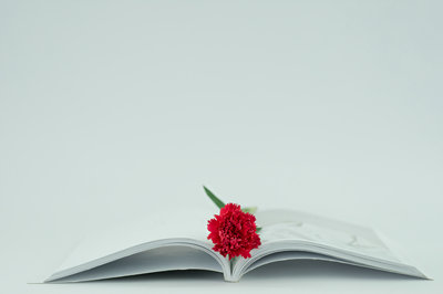 中央財經(jīng)大學(xué)在職研究生 中央財經(jīng)大學(xué)在職研究生