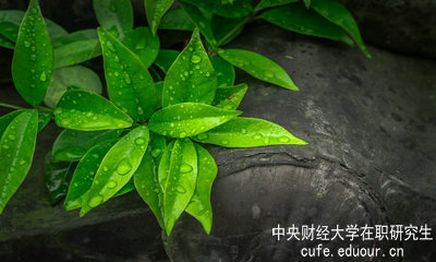 中央財(cái)經(jīng)大學(xué)同等學(xué)力申碩達(dá)到多少分才算通過(guò)考試？