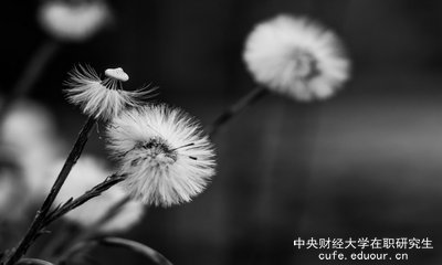 想上中央財經(jīng)大學(xué)在職研究生去哪里報名？