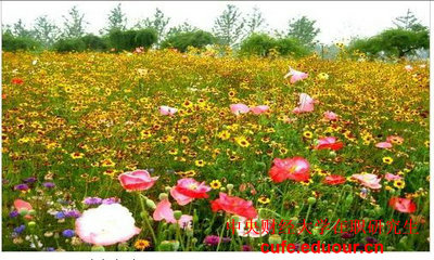 2018年中央財(cái)經(jīng)大學(xué)投資學(xué)在職研究生招生嗎？