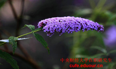 2018年中央財(cái)經(jīng)大學(xué)雙證在職研究生報(bào)名什么時(shí)候？