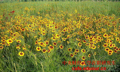 2018年中央財(cái)經(jīng)大學(xué)在職研究生雙證現(xiàn)場(chǎng)確認(rèn)開始了嗎？