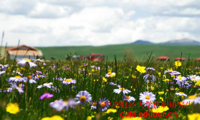 報考央財在職研究生學(xué)位證沒有可以嗎？