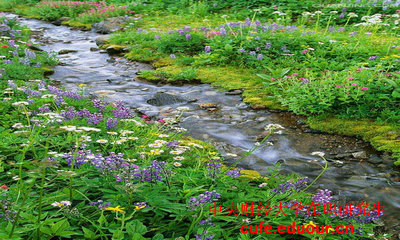 中央財(cái)經(jīng)大學(xué)金融學(xué)在職研究生費(fèi)用貴嗎？